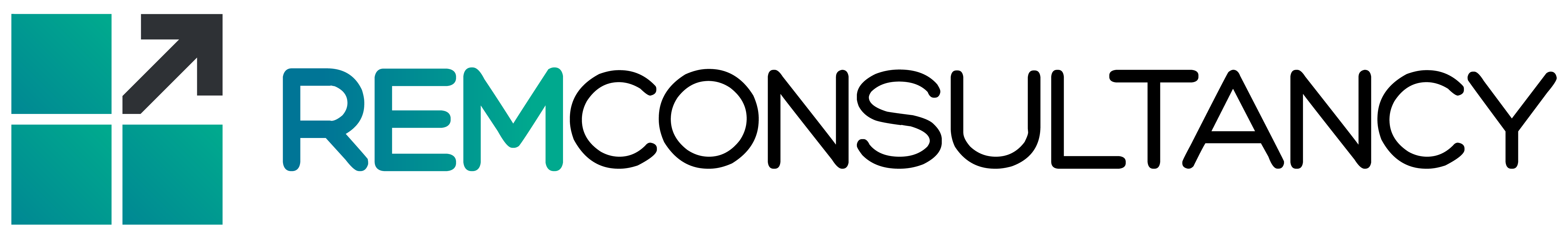 REM Consultancy
